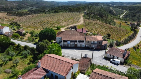 Quinta T9 para Venda em Carvoeiro