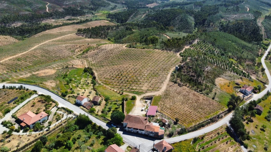Quinta T9 para Venda em Carvoeiro