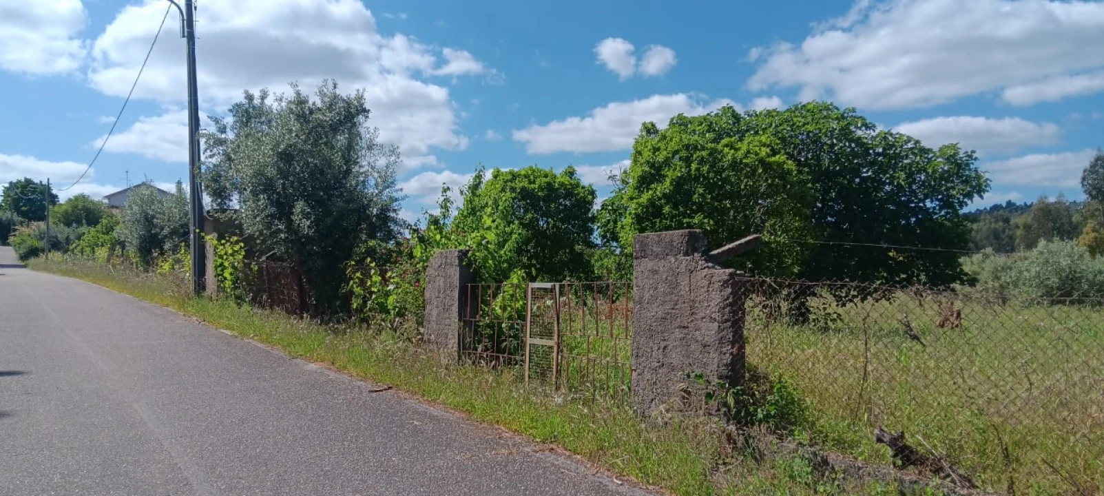 Terreno Agricola ou Rústico para Venda em Mação, Penhascoso e Aboboreira Foto 10