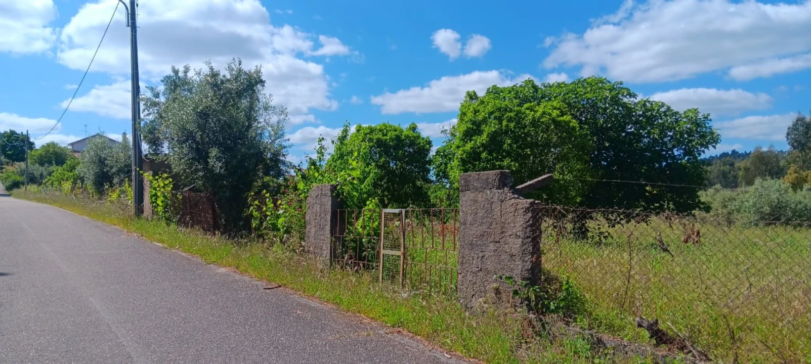 Terreno Agricola ou Rústico para Venda em Mação, Penhascoso e Aboboreira Foto 16