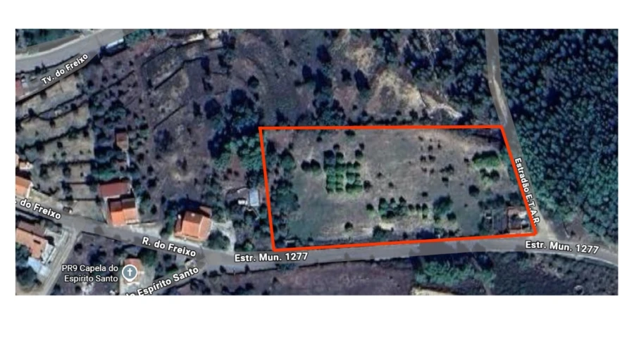 Terreno Agricola ou Rústico para Venda em Mação, Penhascoso e Aboboreira Foto 18