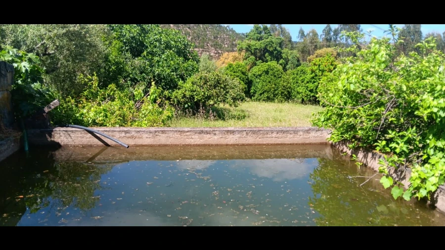 Terreno Agricola ou Rústico para Venda em Mação, Penhascoso e Aboboreira