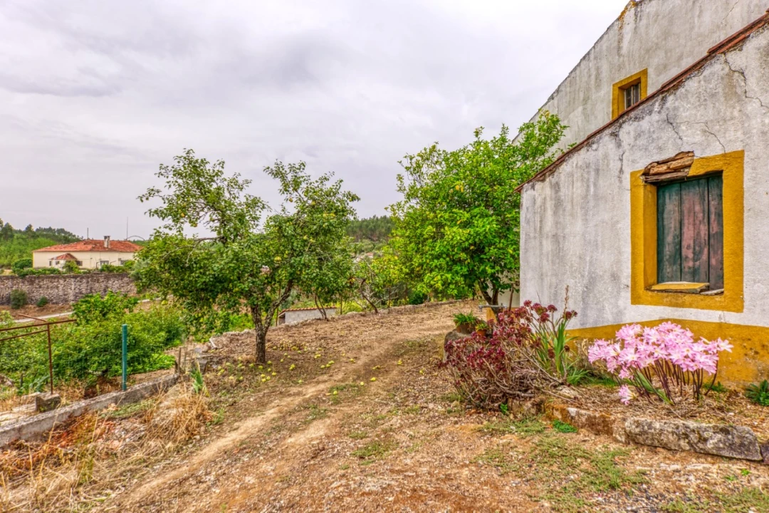 Quinta T3 para Venda em Carvoeiro Foto 21