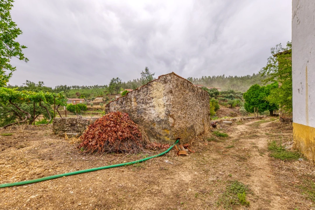 Quinta T3 para Venda em Carvoeiro Foto 33