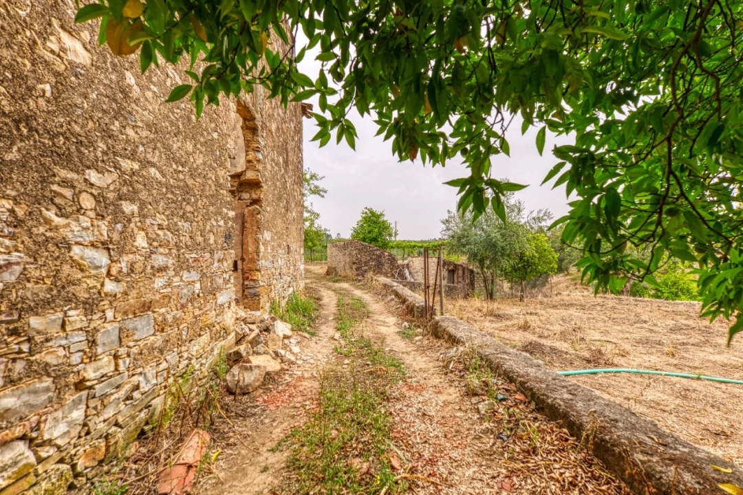 Quinta T3 para Venda em Carvoeiro Foto 35