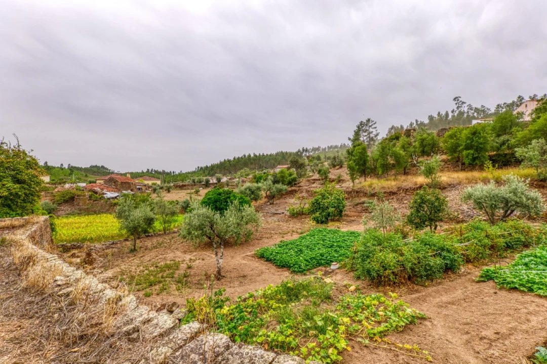 Quinta T3 para Venda em Carvoeiro Foto 37