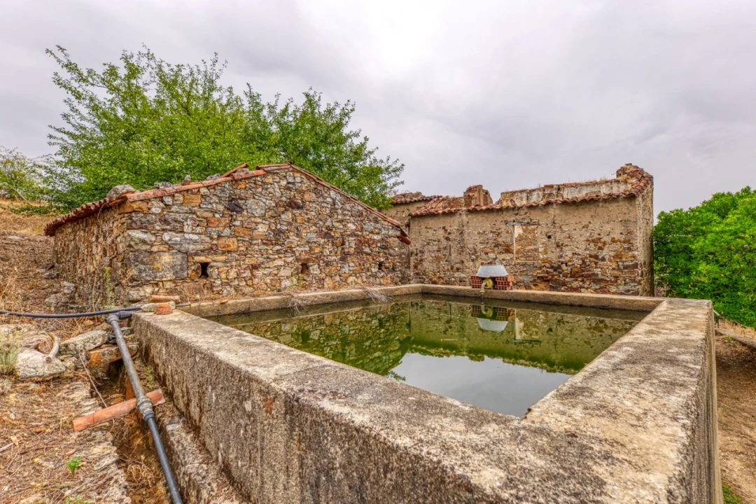 Quinta T3 para Venda em Carvoeiro Foto 40