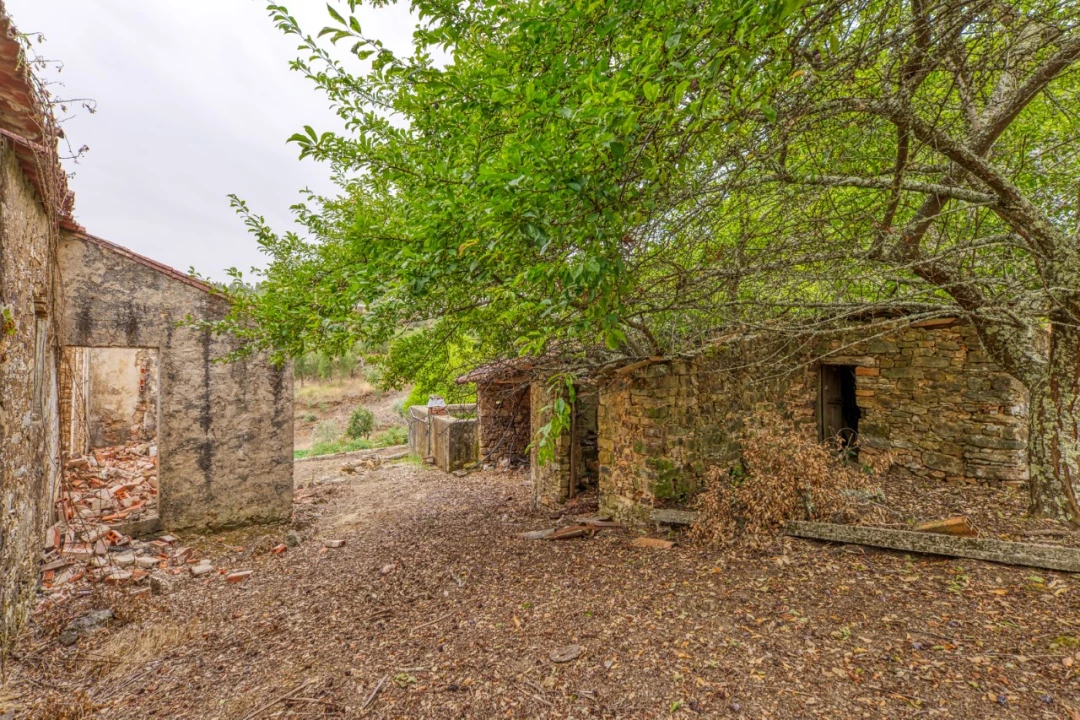 Quinta T3 para Venda em Carvoeiro Foto 42