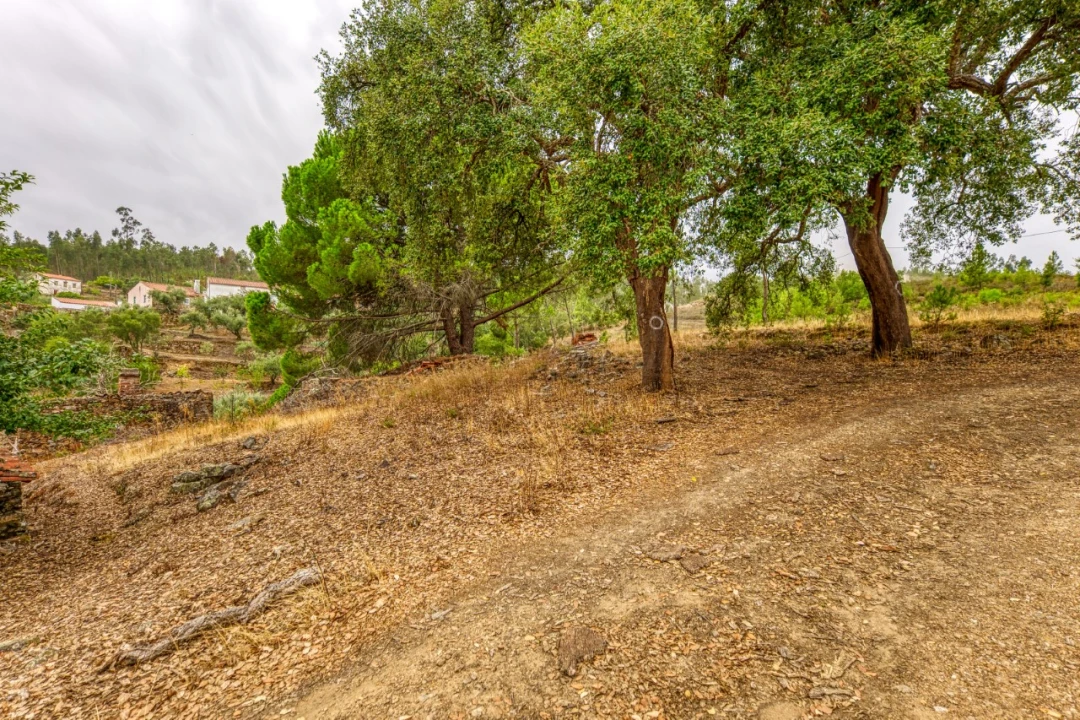 Quinta T3 para Venda em Carvoeiro Foto 43