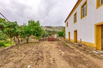 Quinta T3 para Venda em Carvoeiro