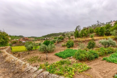 Quinta T3 para Venda em Carvoeiro