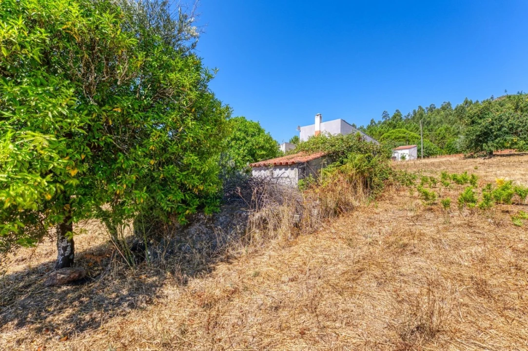 Moradia T3 para Venda em Mação, Penhascoso e Aboboreira Foto 11