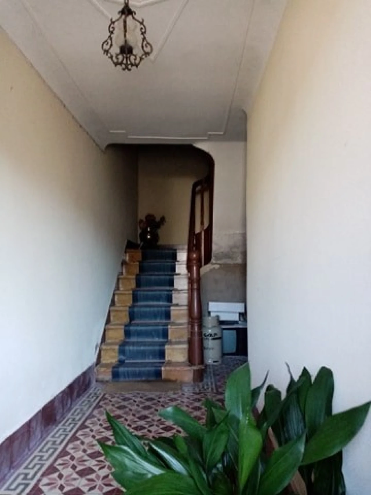 Moradia T5 para Venda em Mação, Penhascoso e Aboboreira Foto 12