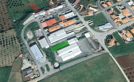 Terreno Comércio / Armazém para Venda em Macedo de Cavaleiros