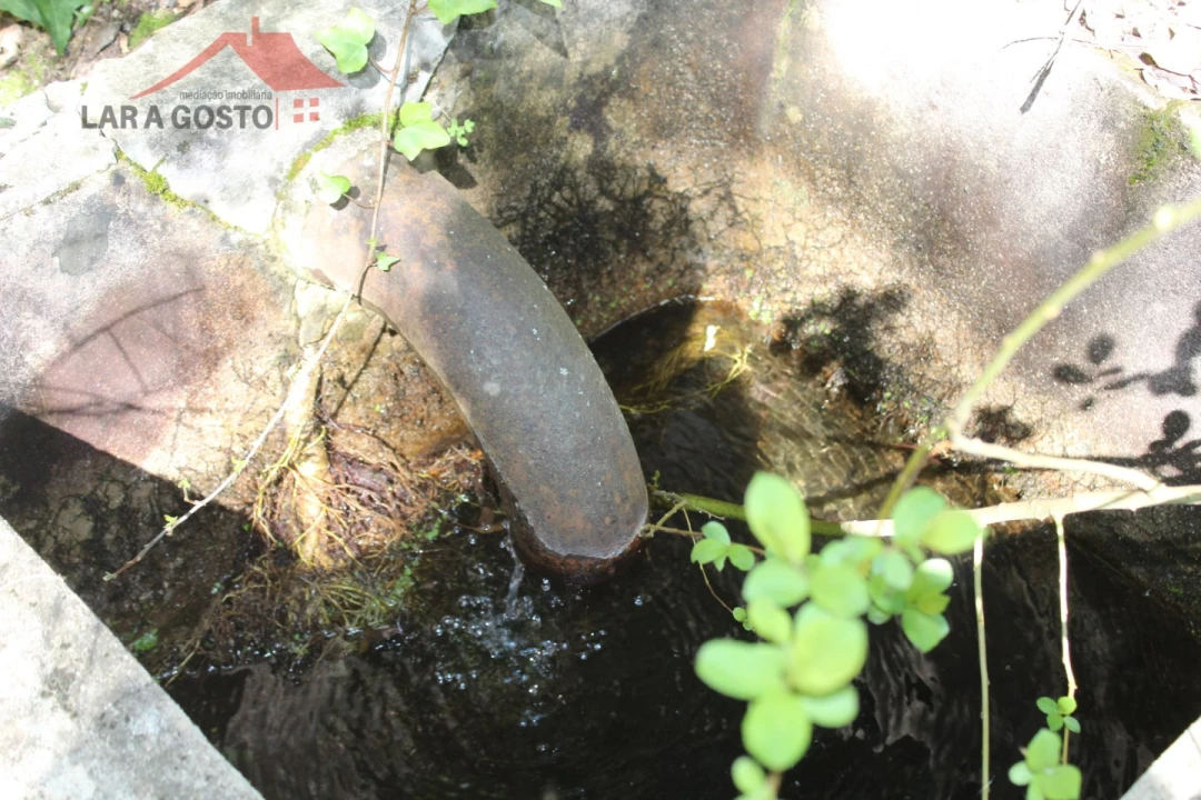 Quinta T20 para Venda em Gebelim e Soeima Foto 14
