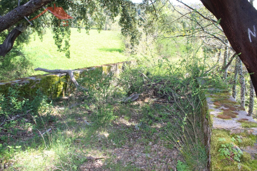 Quinta T20 para Venda em Gebelim e Soeima Foto 20