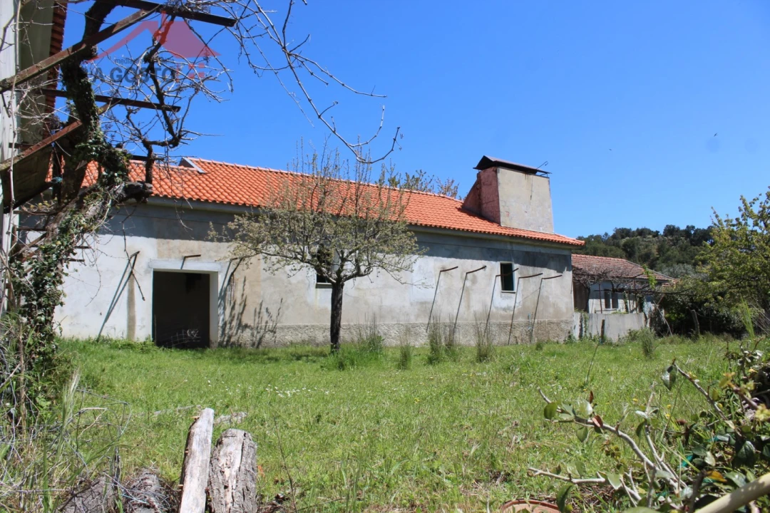 Quinta T20 para Venda em Gebelim e Soeima Foto 46