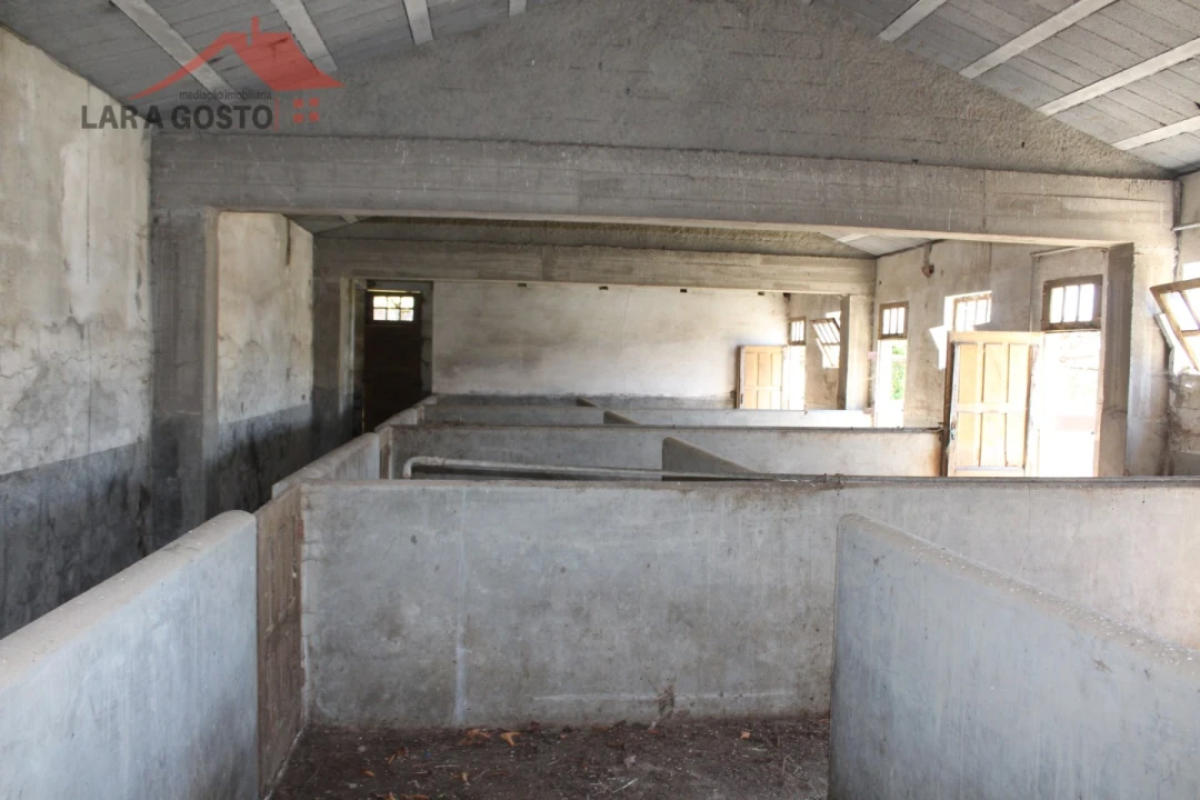 Quinta T20 para Venda em Gebelim e Soeima Foto 58