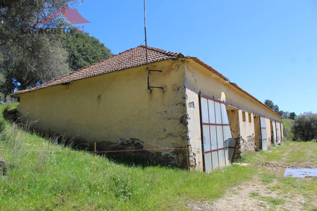 Quinta T20 para Venda em Gebelim e Soeima Foto 68