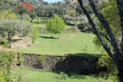 Quinta T20 para Venda em Gebelim e Soeima