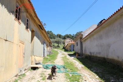 Quinta T20 para Venda em Gebelim e Soeima