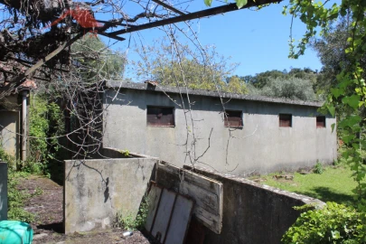 Quinta T20 para Venda em Gebelim e Soeima
