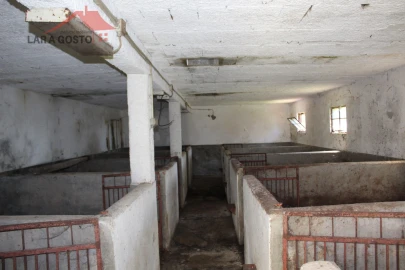 Quinta T20 para Venda em Gebelim e Soeima