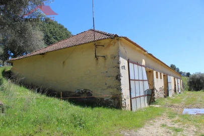 Quinta T20 para Venda em Gebelim e Soeima