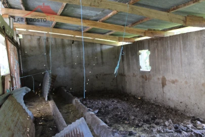 Quinta T20 para Venda em Gebelim e Soeima