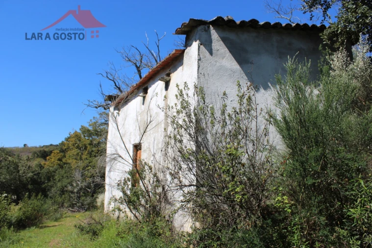 Quinta T20 para Venda em Gebelim e Soeima Foto 18