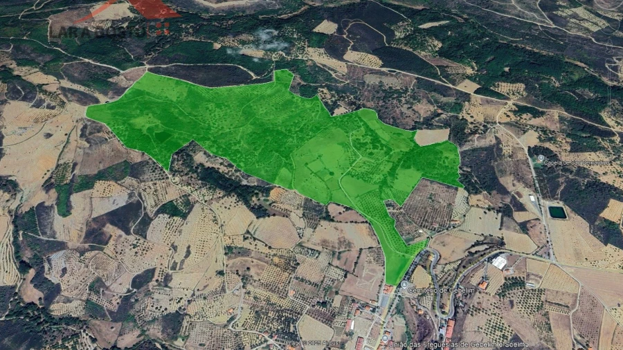 Quinta T20 para Venda em Gebelim e Soeima