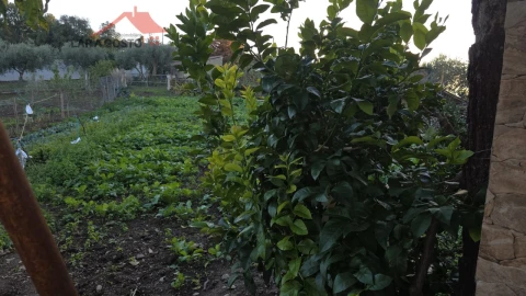 Quinta T2 para Venda em Vinhas