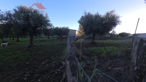 Quinta T2 para Venda em Vinhas