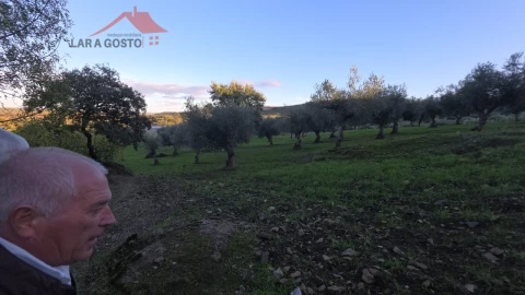 Quinta T2 para Venda em Vinhas