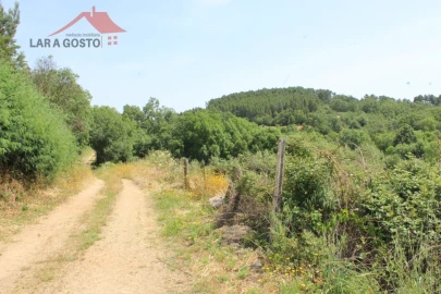 Terreno para Venda em Castelãos e Vilar do Monte