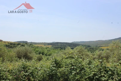 Terreno para Venda em Castelãos e Vilar do Monte