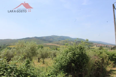 Terreno para Venda em Castelãos e Vilar do Monte