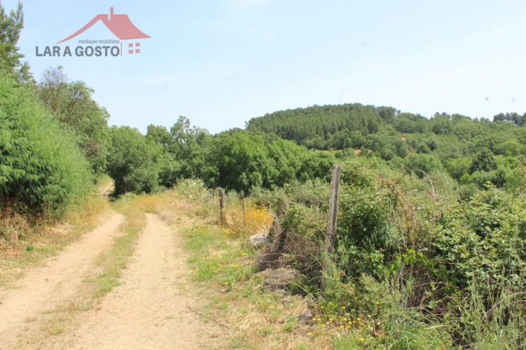 Terreno para Venda em Castelãos e Vilar do Monte Foto 3