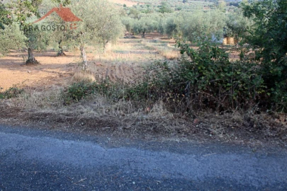 Terreno para Venda em Macedo de Cavaleiros