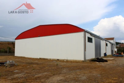 Armazém para Venda em Sezulfe