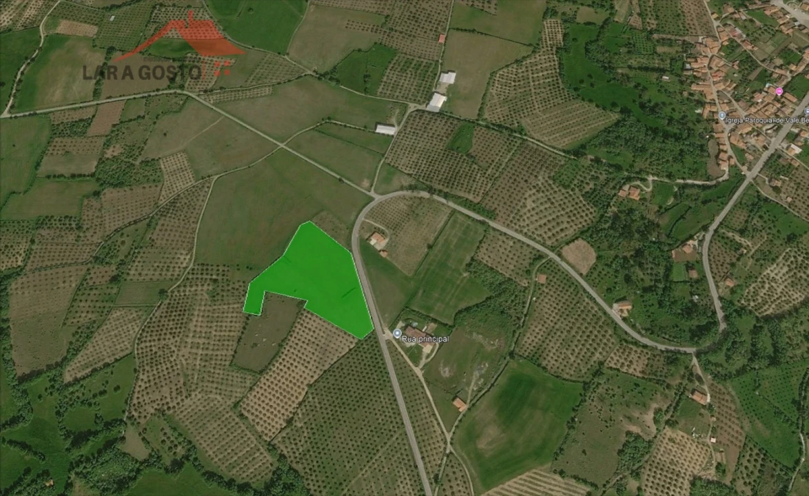 Terreno Agricola ou Rústico para Venda em Vale Benfeito Foto 2