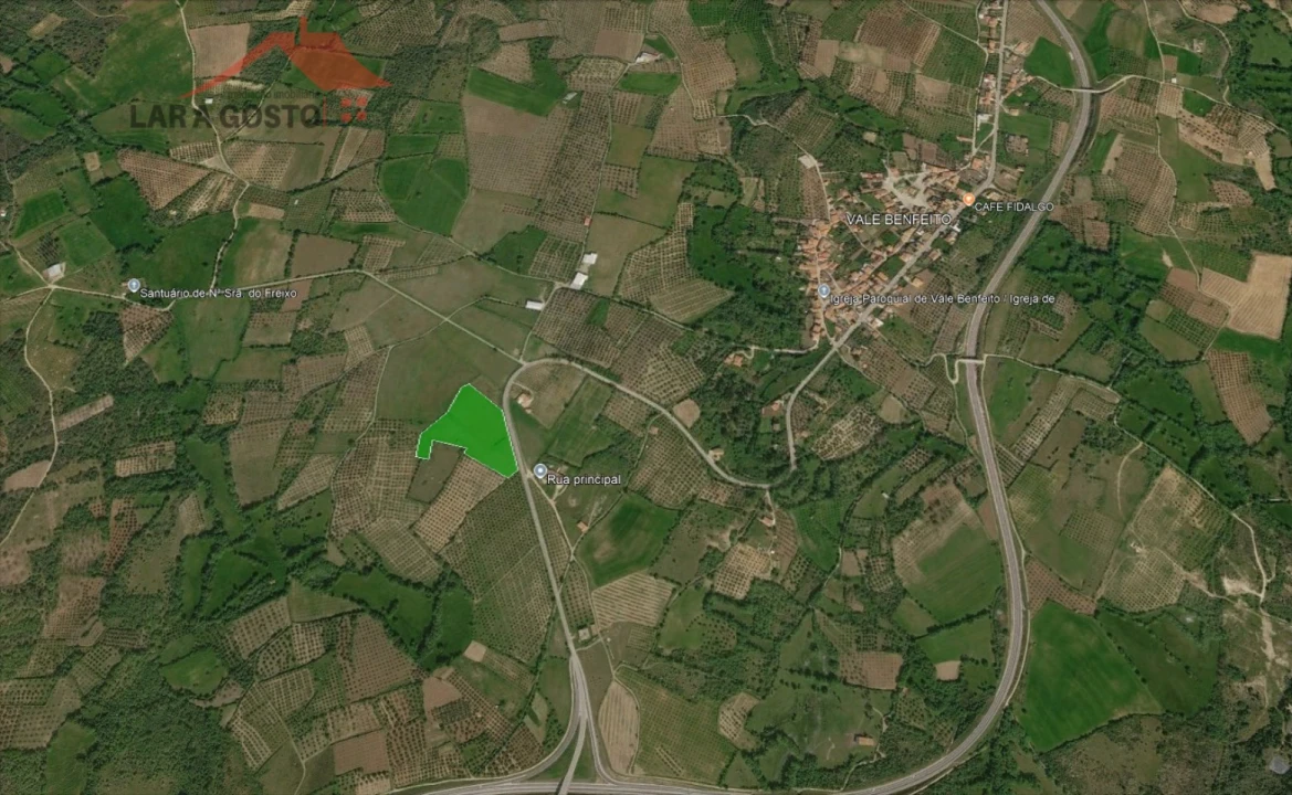 Terreno Agricola ou Rústico para Venda em Vale Benfeito Foto 3