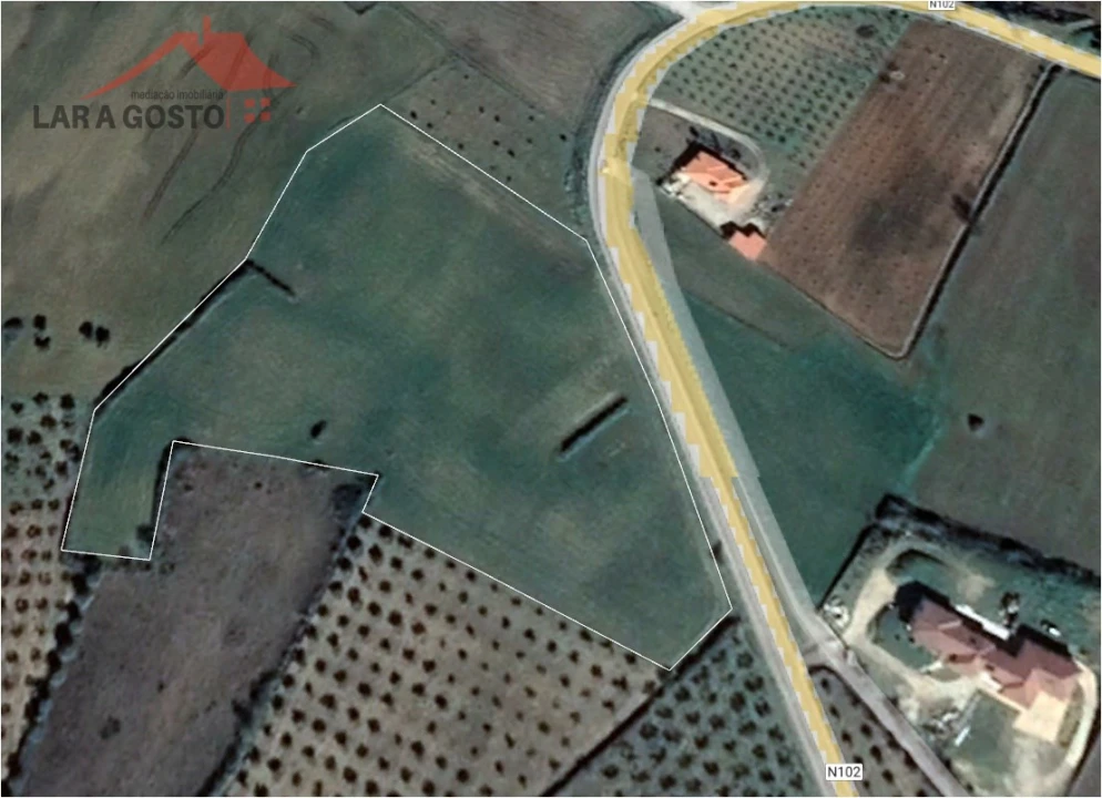 Terreno Agricola ou Rústico para Venda em Vale Benfeito Foto 4