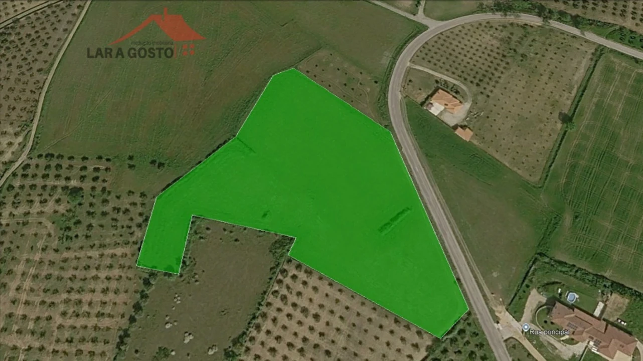 Terreno Agricola ou Rústico para Venda em Vale Benfeito Foto 1