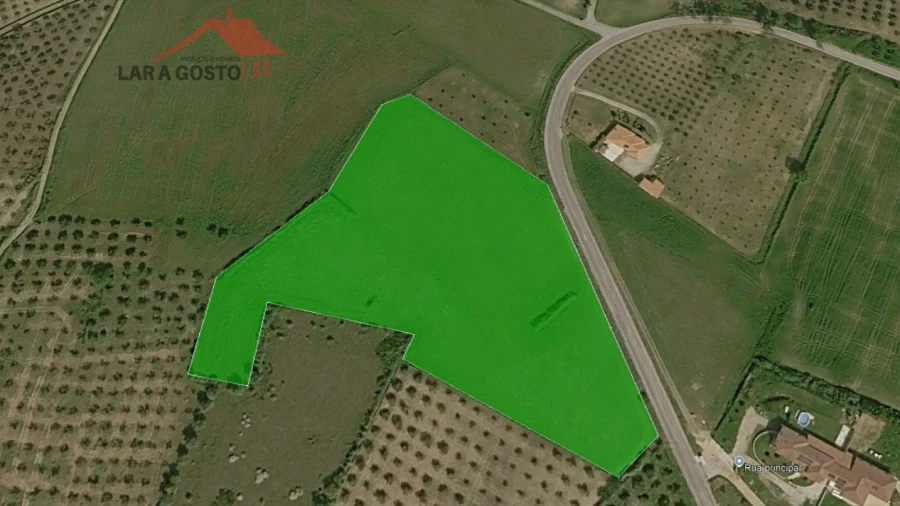 Terreno Agricola ou Rústico para Venda em Vale Benfeito