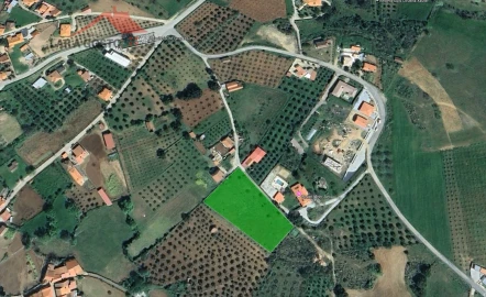 Terreno para Venda em Amendoeira
