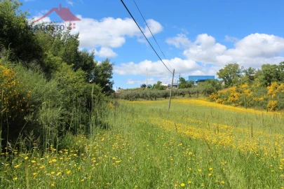 Terreno para Venda em Vale de Prados
