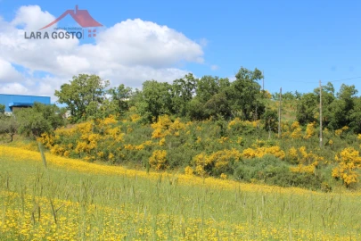 Terreno para Venda em Vale de Prados