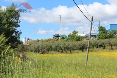Terreno para Venda em Vale de Prados