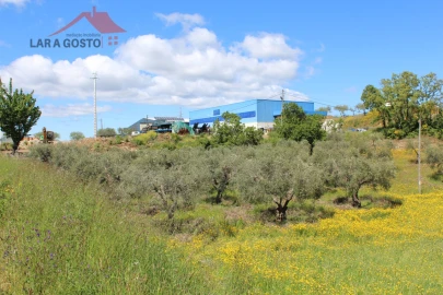 Terreno para Venda em Vale de Prados